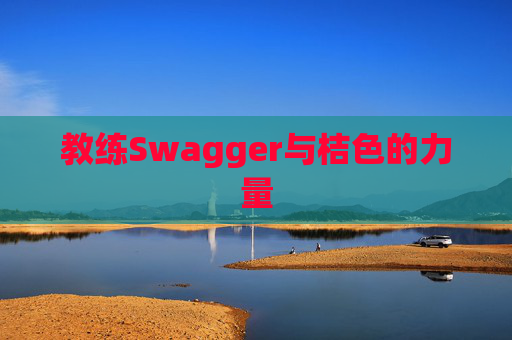 教练Swagger与桔色的力量